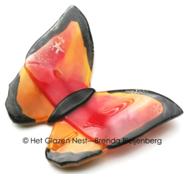 Oranje glas vlinder met zwarte randen