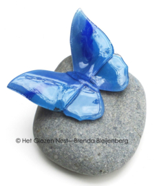 Blauwe glas vlinder op Iceland stone