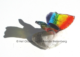 Kleine regenboog vlinder op steentje