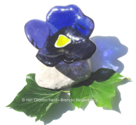 klein paars viooltje op steen
