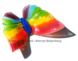 Regenboog vlinder met blauw lijfje