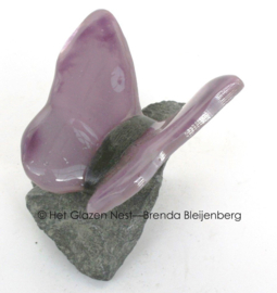 Kleine glasvlinder in oud paarse kleuren