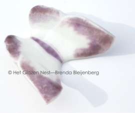 Witte vlinder met paarse randen