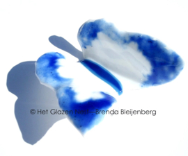 Witte glasvlinder met blauwe accenten