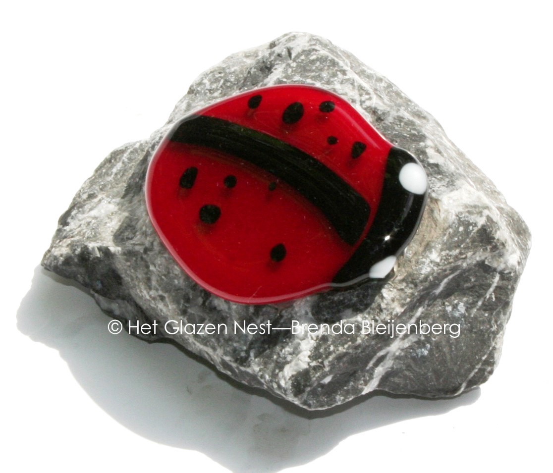Lieveheersbeestje als mini urn
