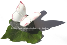 Kleine witte vlinder met roze randen