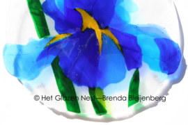 Blauwe Iris als glaskunst aan de muur