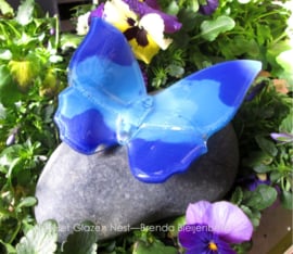 Vlinder in blauwtinten op een gladde kiezel