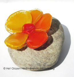 Oranje viooltje in glaskunst