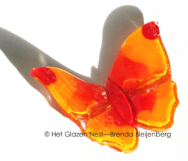 Glazen vlinder in speels oranje kleuren