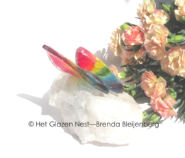 grote regenboog vlinder op bergkristal