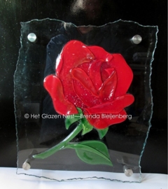 roos op blank glas met gebrokkelde rand