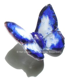Wit en blauwe vlinder met zwarte randen