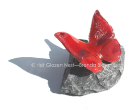 Kleine rode vlinder op basalt