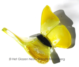 Gele vlinder met donker lijfje