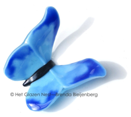 Aqua kleurige vlinder met blauwe accenten