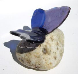 Vlinder in paars en blauw op steen