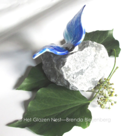 blauwe vlinder op basalt steen