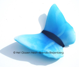 Vlinder in aqua blauwe kleuren