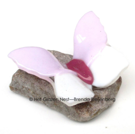 Roze en witte vlinder op steentje