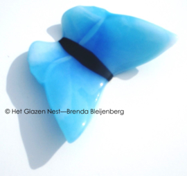 Vlinder in aqua blauwe kleuren