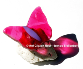 Kleine roze glazen vlinder