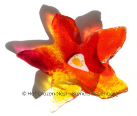 Speelse bloem in glas