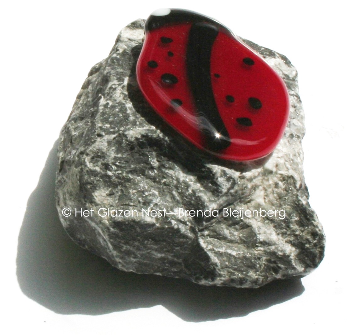 Lieveheersbeestje als mini urn