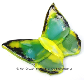 Groene vlinder met gele accenten