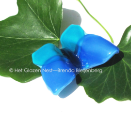 kleine vlinder in zeeblauwe kleuren