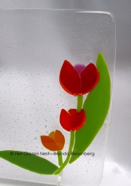 tulpen in kleine glasplaat