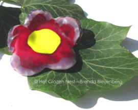 kleine bloem in rood en lila