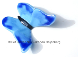 Aqua kleurige vlinder met blauwe accenten