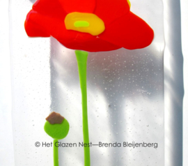 Papaver met papaverbol