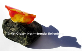 Kleine oranje vlinder op grijze steen