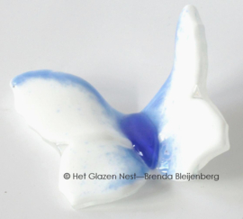 Witte vlinder met blauwe lijnen