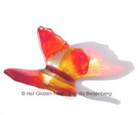 Rood en oranje in transparante vlinder