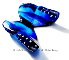 Blauwe glas vlinder