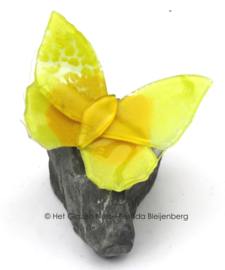 Kleine gele vlinder op grijs basalt