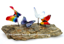 Kleurige vlinders op versteend hout