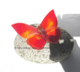 kleine rode vlinder  op kleine kei