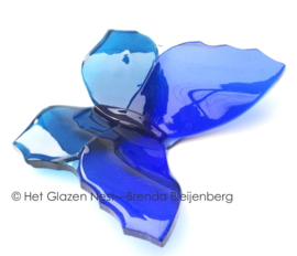 Blauwe glazen vlinder met spitse vleugels