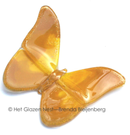 Glazen vlinder in mostedgeel