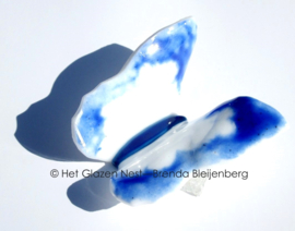 Witte glasvlinder met blauwe accenten