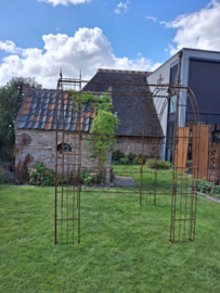 Rozentunnel Ambrosia spits