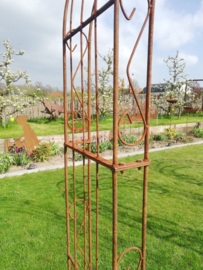 Rozenboog Ambrosia rond