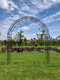 Rozenboog Ambrosia rond