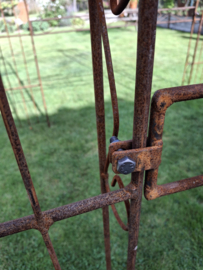 Rozentunnel Ambrosia spits