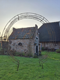 Rozenboog  Valentina