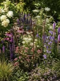 Plantensteun Madrid
